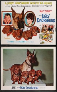 9y0917 UGLY DACHSHUND 9 LCs 1966 Walt Disney, wacky image of Great Dane with wiener dogs!