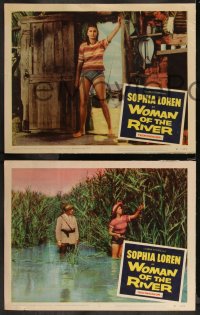9y1022 WOMAN OF THE RIVER 6 LCs R1957 one with incredibly sexy full-length portrait of Sophia Loren!