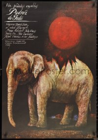 9z0947 PASSAGE TO INDIA Polish 26x38 1986 David Lean, different elephant art by Wiktor Sadowski!