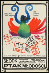 9z1035 SWEET BIRD OF YOUTH Polish 21x31 1967 Paul Newman, Geraldine Page, from Tennessee Williams' play!