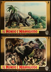 1a1873 ANIMAL WORLD set of 16 Italian 19x27 pbustas 1956 Allen, great animal images + dinosaurs!