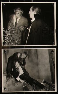 1a1618 RETURN OF THE VAMPIRE 7 8x10 stills 1944 Bela Lugosi, werewolf Matt Willis, Nina Foch