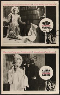 1a0916 CURSE OF THE LIVING CORPSE 8 LCs 1964 Roy Scheider's 1st, creature that undrapes the living!
