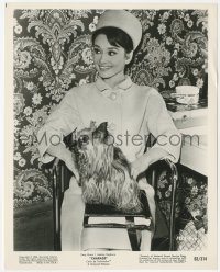 1b2220 CHARADE candid 8x10 still 1963 close up of happy Audrey Hepburn with her dog between scenes!
