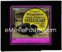 1b0257 STEELHEART glass slide 1921 wacky image of William Duncan wrestling a bear!