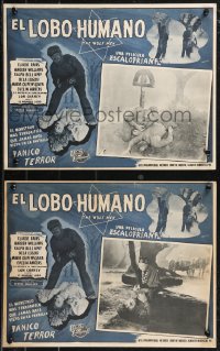 1b0123 WOLF MAN 6 Mexican LCs R1950s Lon Chaney Jr. in the title role as the werewolf monster!