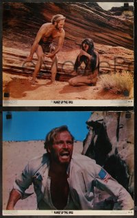 1b0731 PLANET OF THE APES 8 color 11x14 stills 1968 Charlton Heston, Linda Harrison, classic sci-fi!