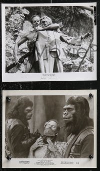 1b2465 PLANET OF THE APES 6 8x10 stills 1968 Charlton Heston & sexy Linda Harrison, Whitmore!