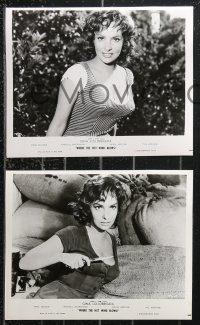 1b2493 WHERE THE HOT WIND BLOWS 3 8x10 stills 1960 Jules Dassin, all w/ sexy Gina Lollobrigida!