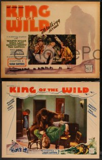 1b2107 KING OF THE WILD 8 chapter 1 LCs 1931 Boris Karloff shown, Man Eaters, full color & complete!