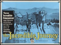 1c0588 INCREDIBLE JOURNEY British quad R1960s Disney, Bull Terrier, Siamese cat & Labrador Retriever!