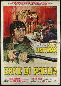 1f1595 STRAW DOGS Italian 2p 1972 Peckinpah, completely different art of Dustin Hoffman by Ciriello!
