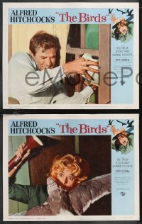 1f0747 BIRDS 8 LCs 1963 Alfred Hitchcock, Tippi Hedren, Rod Taylor, classic horror, complete set!