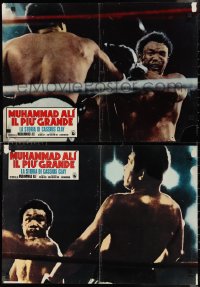 1g0759 FLOAT LIKE A BUTTERFLY STING LIKE A BEE set of 2 Italian 18x26 pbustas 1977 Muhammad Ali, boxing
