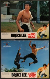1h0343 FISTS OF FURY 8 Hong Kong LCs R1980s kung fu master Bruce Lee, The Big Boss, beyond rare!