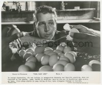 1j1446 COOL HAND LUKE 8x9.5 still 1967 best close up of Paul Newman in classic egg eating scene!