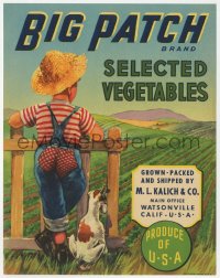 1j0371 BIG PATCH 7x9 crate label 1950s great art of young boy & his dog overlooking fields!