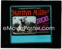 1j0660 TRICKS glass slide 1925 Marilyn Mills with her wonder horses Star & Beverly, ultra rare!