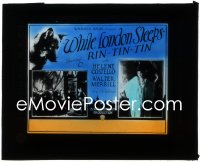 1j0662 WHILE LONDON SLEEPS glass slide 1926 canine star Rin-Tin-Tin & pretty Helene Costello!