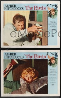 1j1249 BIRDS 8 LCs 1963 Alfred Hitchcock, Tippi Hedren, Rod Taylor, classic horror, complete set!