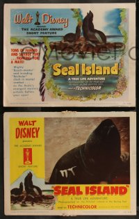 1j1380 SEAL ISLAND 4 LCs 1949 cool images & art from Walt Disney True Life documentary, complete set