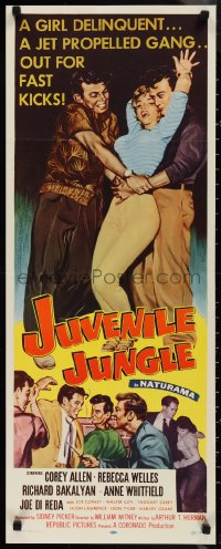 1k1008 JUVENILE JUNGLE insert 1958 a girl delinquent & a jet propelled gang out for fast kicks!