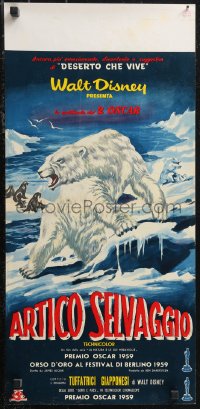 1k0733 WHITE WILDERNESS Italian locandina 1959 Disney, bear & arctic animals, full-bleed design!