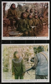1p1820 BATTLE FOR THE PLANET OF THE APES 8 color English FOH LCs 1973 images of war of apes & humans!