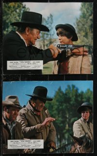 1p1849 TRUE GRIT 8 color English FOH LCs 1969 John Wayne as Rooster Cogburn, Kim Darby, Campbell!