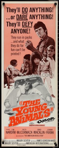 1r0926 YOUNG ANIMALS insert 1968 AIP bad teens, the wildest of the young ones!