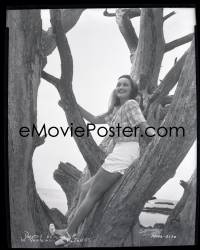 1s0041 DOROTHY LAMOUR camera original 8x10 negative 1930s Paramount portrait standing in huge tree!