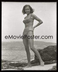 1s0141 GOLDFINGER 8x10 vintage studio negative 1964 sexy Bond Girl Honor Blackman in swimsuit by ocean!