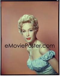 1s0269 BARBARA EDEN group of 5 8x10 transparencies 1950s head & shoulders portraits of the star!