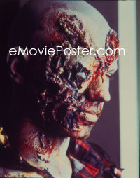 1s0361 DAWN OF THE DEAD group of 16 4x5 color transparencies 1980 Romero zombie classic, gore poses!