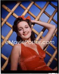 1s0312 DOROTHY LAMOUR 8x10 transparency 1940s the beautiful leading lady against bamboo background!