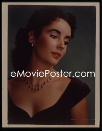 1s0415 ELIZABETH TAYLOR 4x5 transparency 1950s beautiful MGM portrait by Clarence Sinclair Bull!