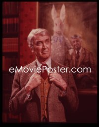 1s0487 HARVEY group of 2 color transparencies 1972 James Stewart & painting with his rabbit friend!