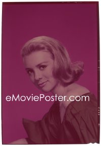 1s0356 INGER STEVENS 5x7 transparency 1959 smiling portrait of the pretty blonde troubled actress!