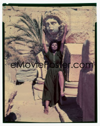 1s0436 LEGEND OF THE LOST 4x5 color transparency 1957 posed portrait of statuesque Sophia Loren!