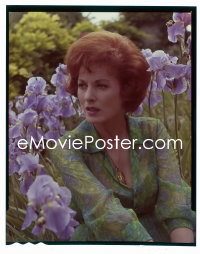 1s0439 MAUREEN O'HARA 4x5 color transparency 1960s famous beautiful red headed star!