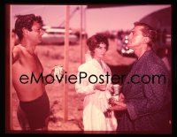 1s0451 SPARTACUS 4x5 transparency 1961 candid of Kirk Douglas & Tony Curtis w/beer by Jean Simmons!