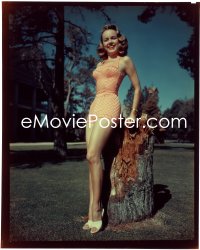 1s0273 TERRY MOORE group of 4 8x10 transparencies 1950s sexy portraits including Daddy Long Legs!
