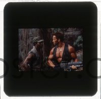 1s0599 PREDATOR group of 7 35mm slides 1987 Arnold Schwarzenegger hunter alien classic!