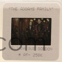 1s0565 ADDAMS FAMILY group of 15 35mm slides 1991 Raul Julia, Anjelica Huston, Christina Ricci, Lloyd