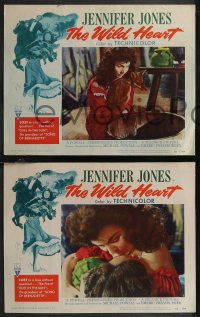1t1482 WILD HEART 8 LCs 1952 Jennifer Jones' fox has Gone to Earth, Powell & Pressburger!