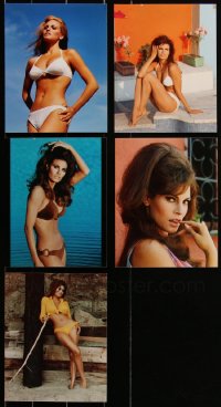 1x0796 LOT OF 5 RAQUEL WELCH REPRO PHOTOS 1980s super sexy portraits in skimpy swimsuits!