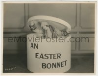 1y1830 BETTY BRONSON 8x10 key book still 1920s candid of Paramount star in giant Easter bonnet box!