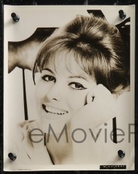1y1625 CLAUDIA CARDINALE 9 from 6.75x8.75 to 8x10 stills 1960s wonderful portrait images of the star!