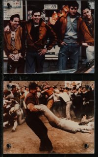 1y1605 WANDERERS 19 color Dutch 8x10 stills 1979 Kaufman's 1960s New York City teen gang cult classic!