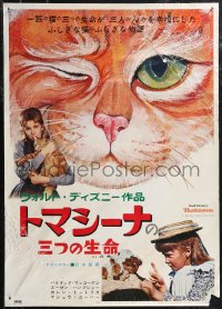 1z0837 THREE LIVES OF THOMASINA Japanese 1967 Walt Disney, great art of winking & smiling cat!